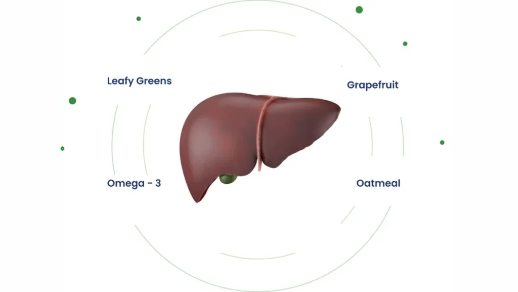 Best Nutrients for Liver health