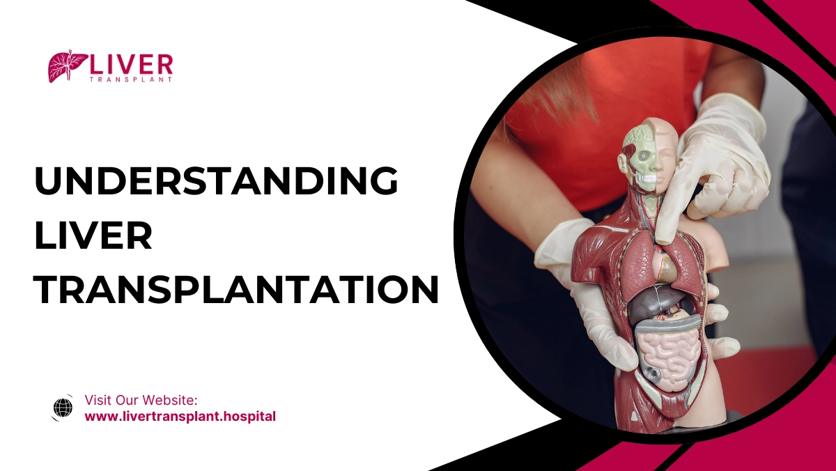 Understanding Liver Transplantation