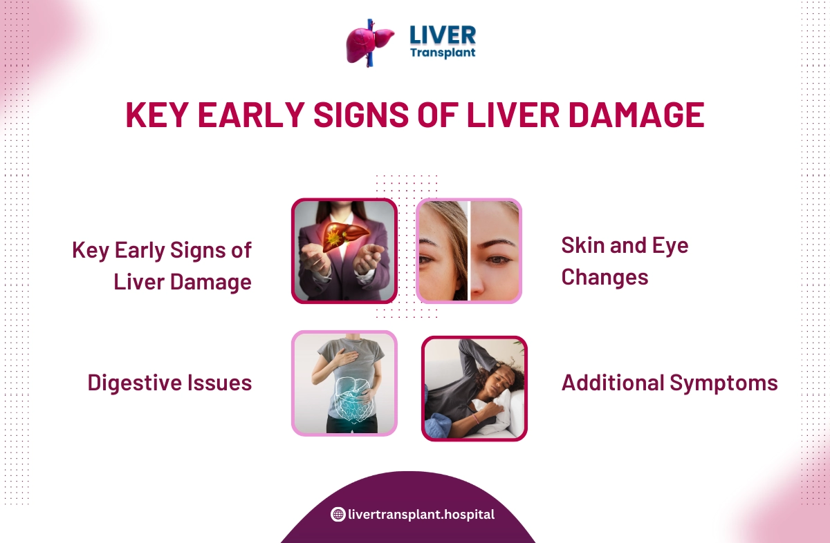 Early Signs of Liver Damage 