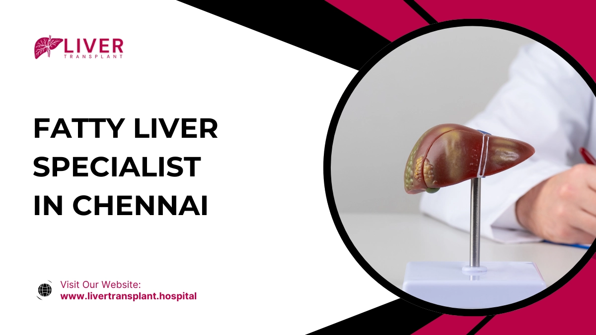 Fatty Liver Specialist in Chennai
