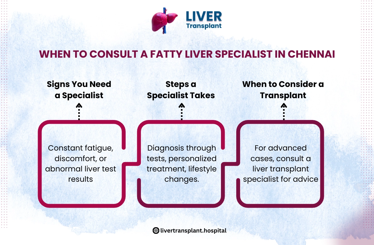 Fatty Liver Specialist in Chennai