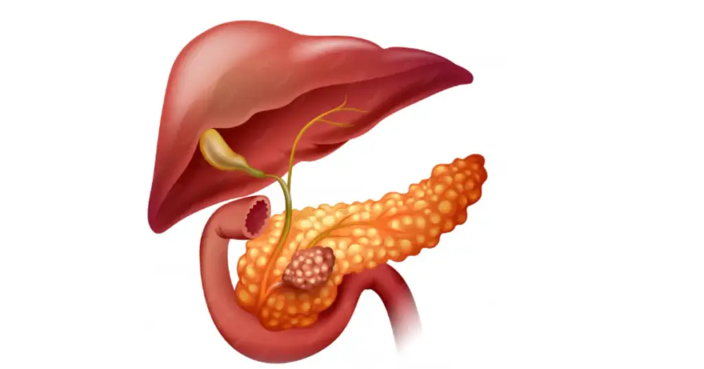 Cirrhosis of the Liver