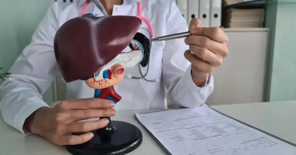 Understanding Liver Transplant Eligibility