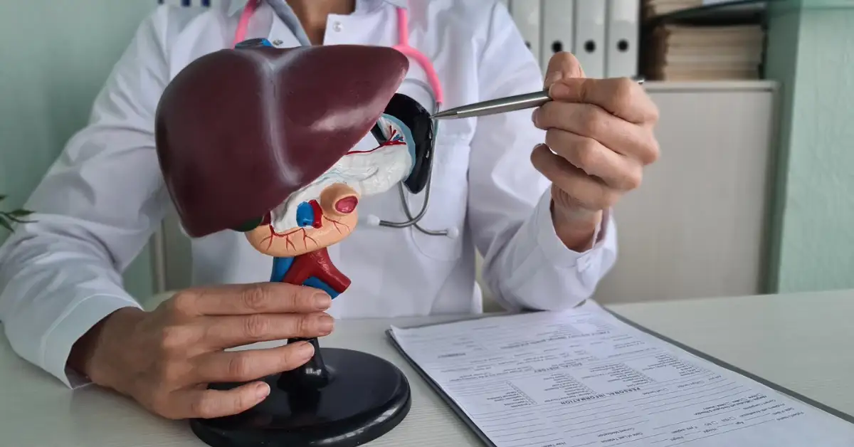 Understanding Liver Transplant Eligibility