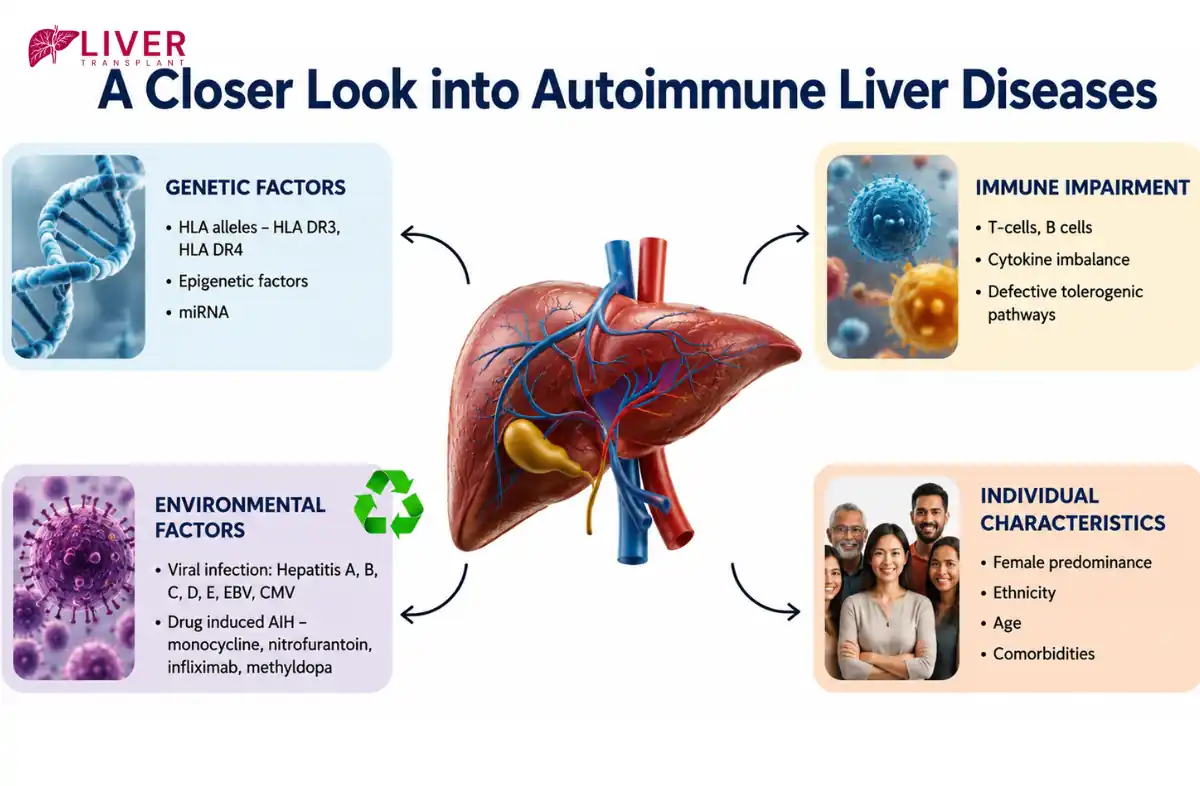 Autoimmune Liver Diseases
