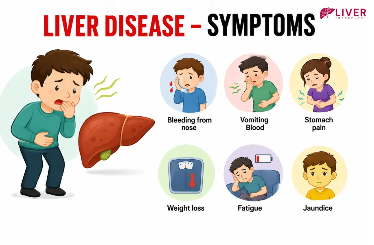 Liver Disease Prevention and Management