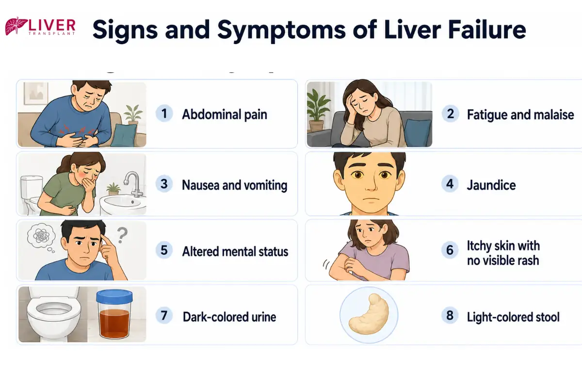 Liver Failure Treatment Program