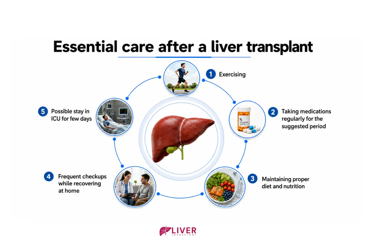 Liver Transplant